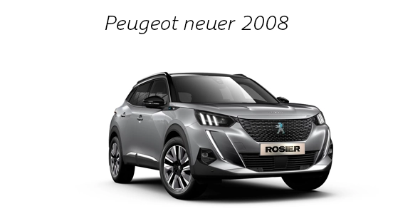 Peugeot 2008 detailbild