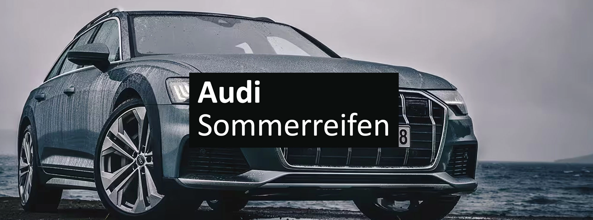 Audi sommerreifen rosier onlineshop header