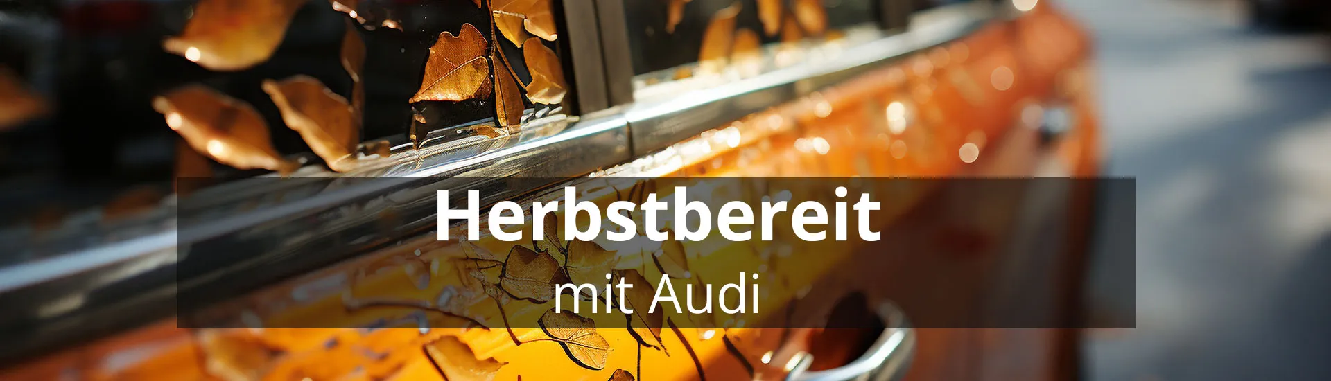 Newsletter header herbstbereit audi 2