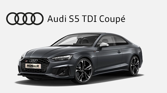 Audi_S5_TDI_Coupé_Detailbild_(1)