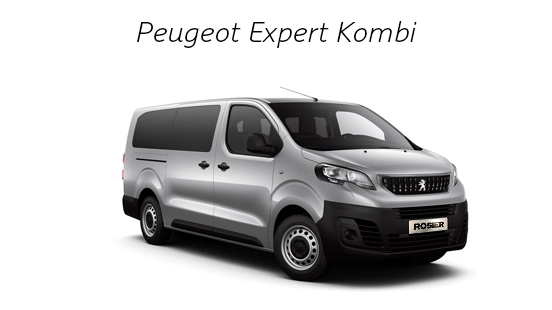 Peugeot expert kombi detailbild (1)