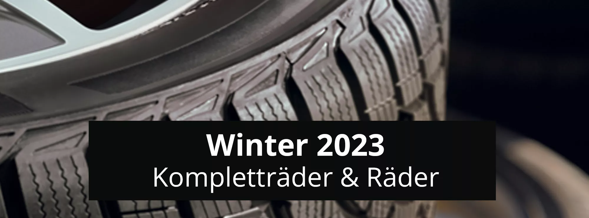 Winter 2023 header