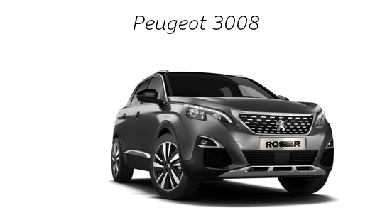 Peugeot 3008 detailbild (1)
