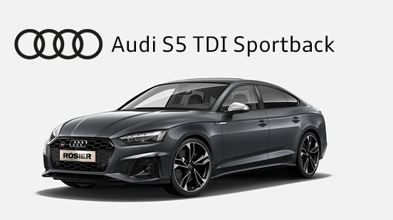 Audi_S5_TDI_Sportback_Detailbild_(1)