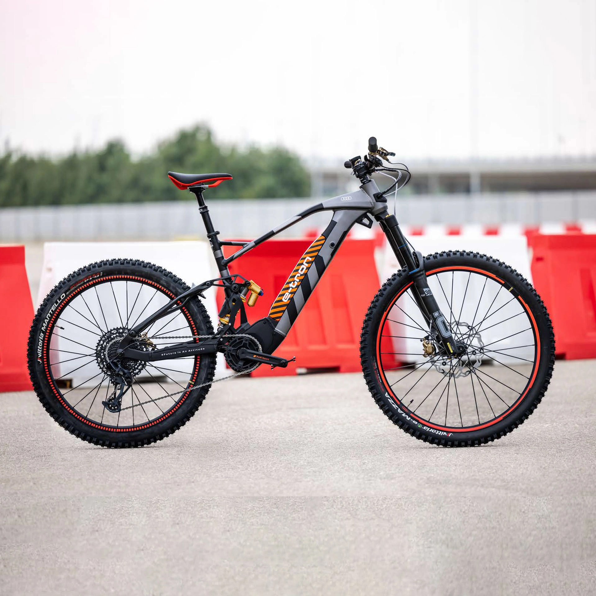 4J3050209_audi_electric_mountain-bike_groesse_s_rosier-onlineshop8