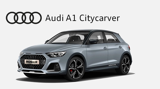 Audi_A1_Citycarver_Detailbild_(2)