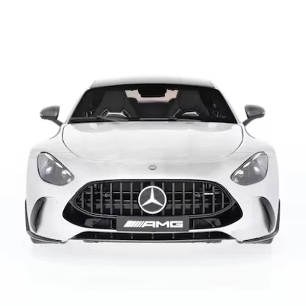 B66960585_mercedes-benz_modellauto_amg_gt_rosier-onlineshop2