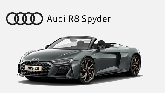 Audi_R8_Spyder_Detailbild_(1)