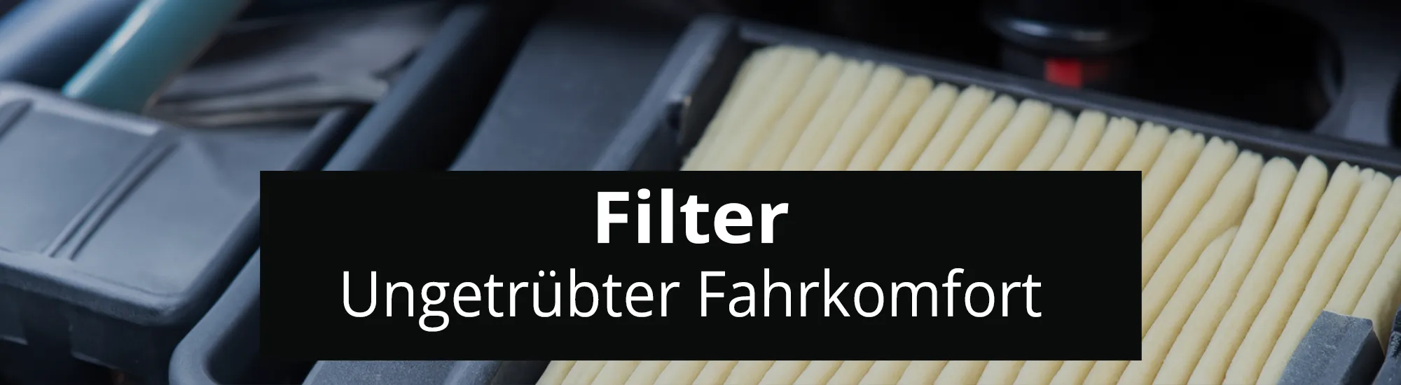 Filter header